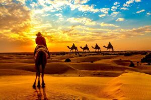safari in Rajasthan