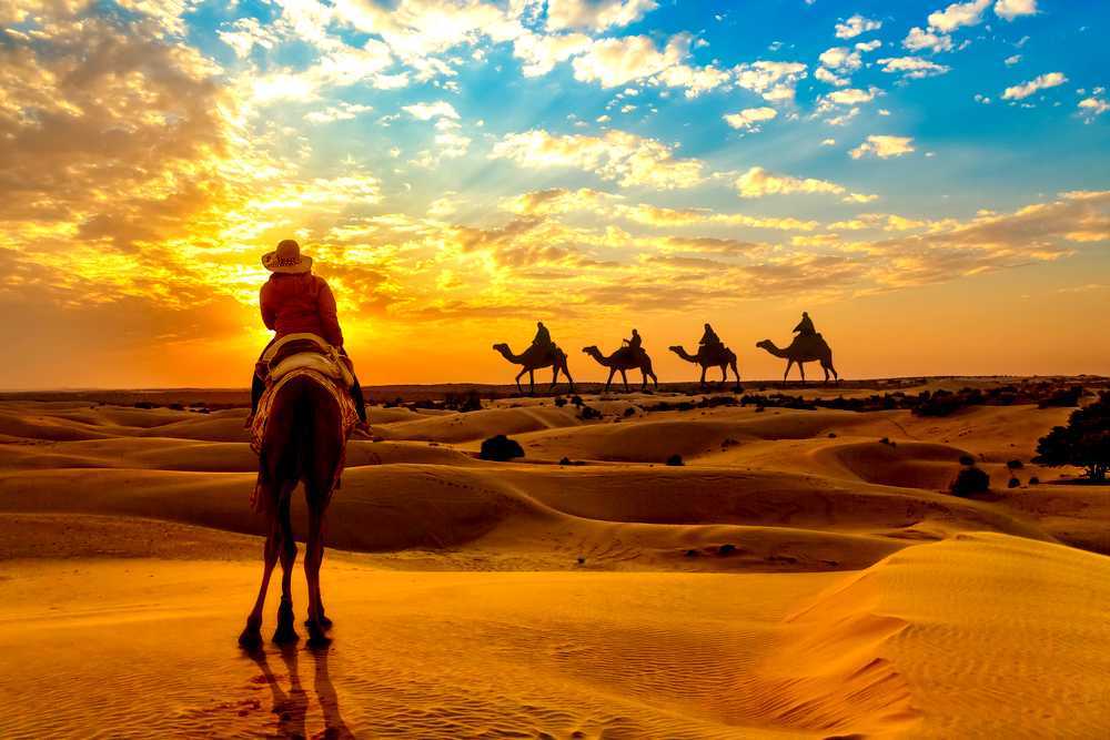 safari in Rajasthan