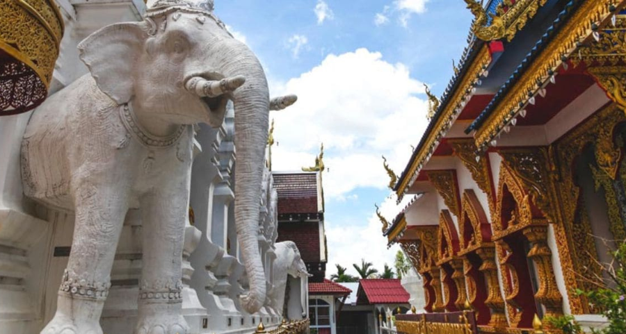 Le Sri Lanka sauvage