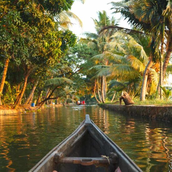 bateau à Kerala