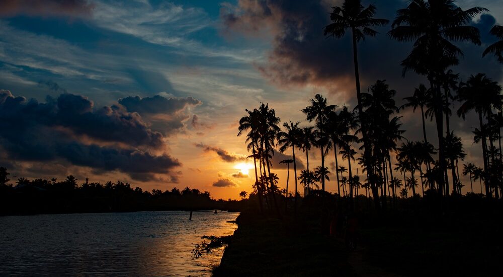 La Beauté Naturelle du Kerala