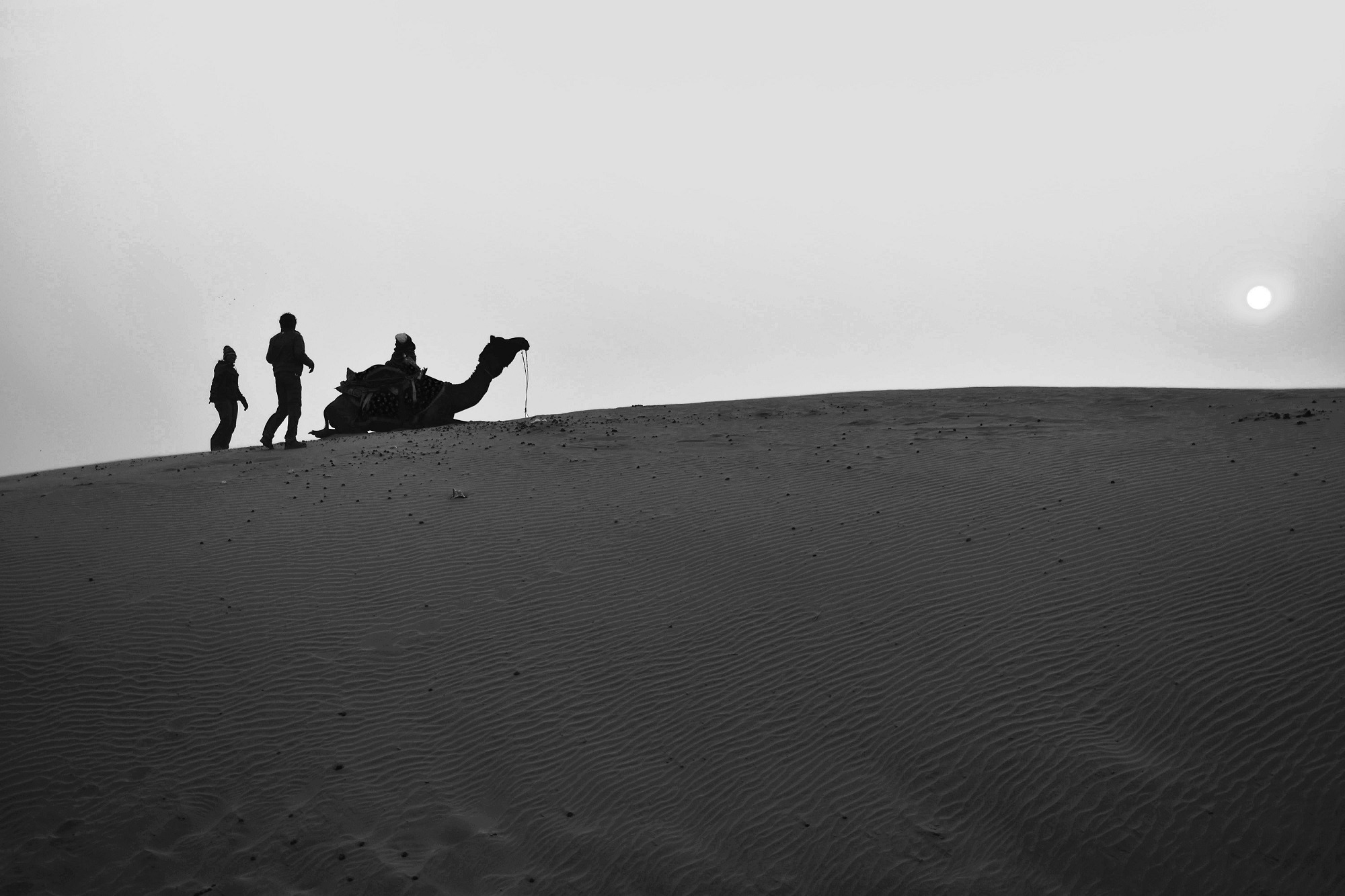 desert de Jaisalmer