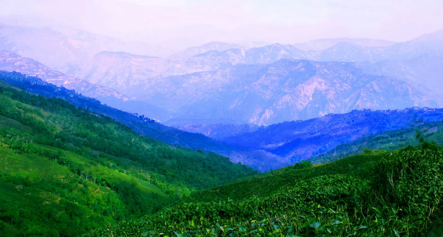 Circuit Sikkim, Darjeeling & Népal