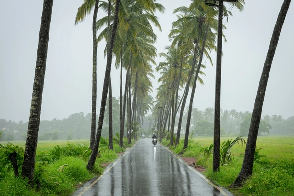 Goa - travel agency by mannat