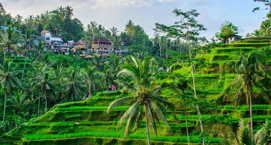 essence of bali