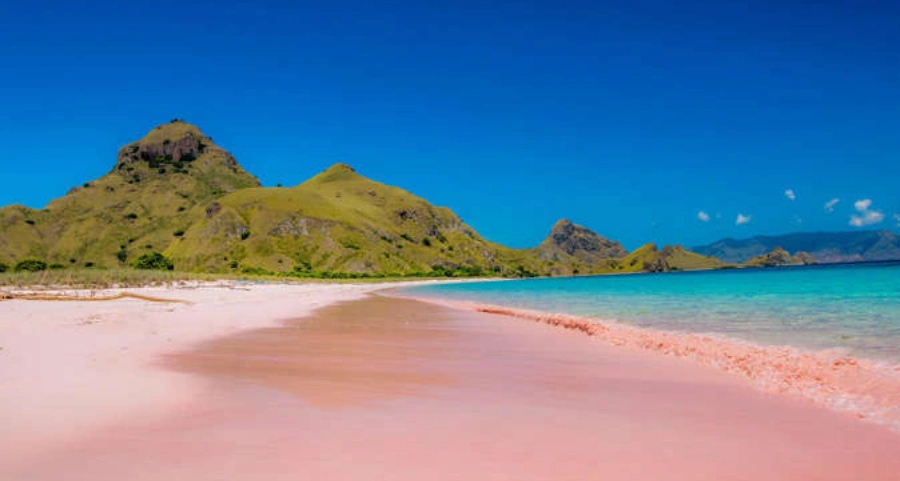 Plage rose de Komodo, Indonésie