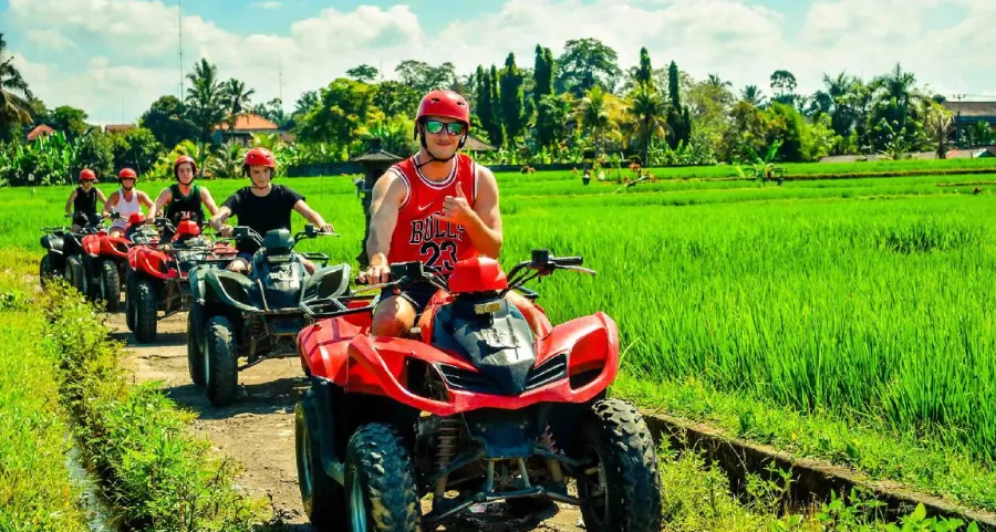 Profitez des rizières de Bali