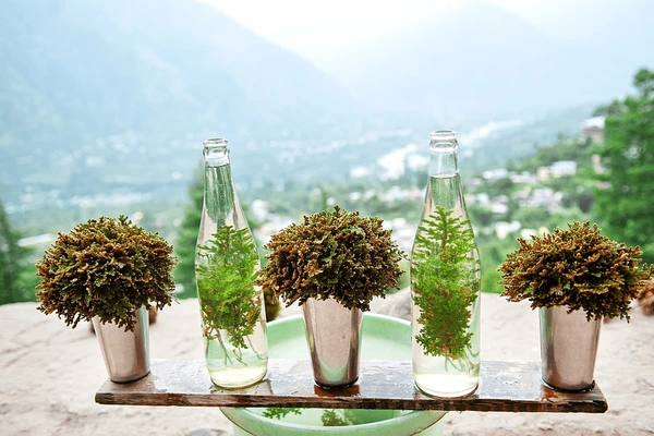 Wellness and Ayurveda Escapes in the Mountains