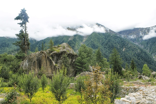 Photography and Nature-Focused Journeys